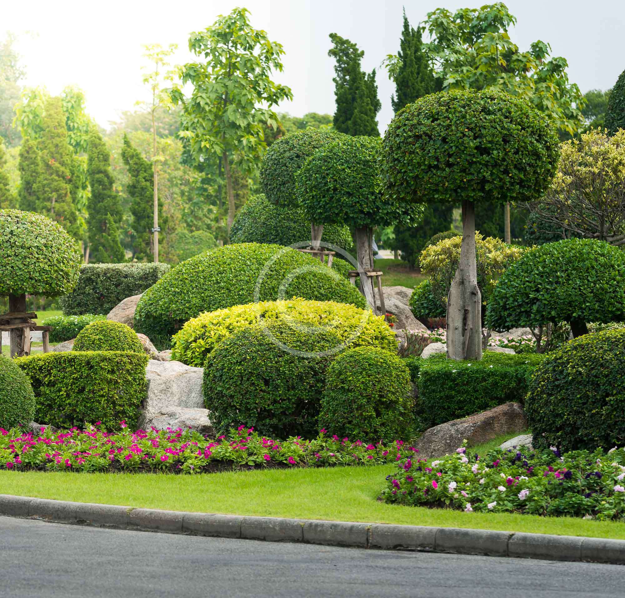 Modern Landscape Design & Techniques ReelTech